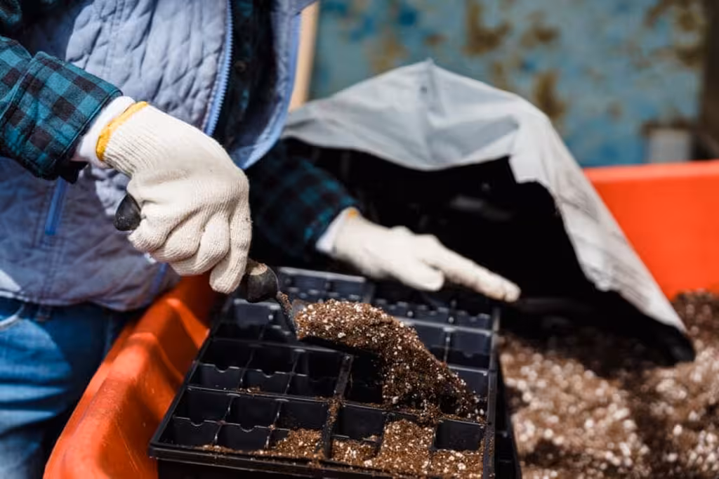 Bouturage Plantes Grimpantes: Guide Ultime