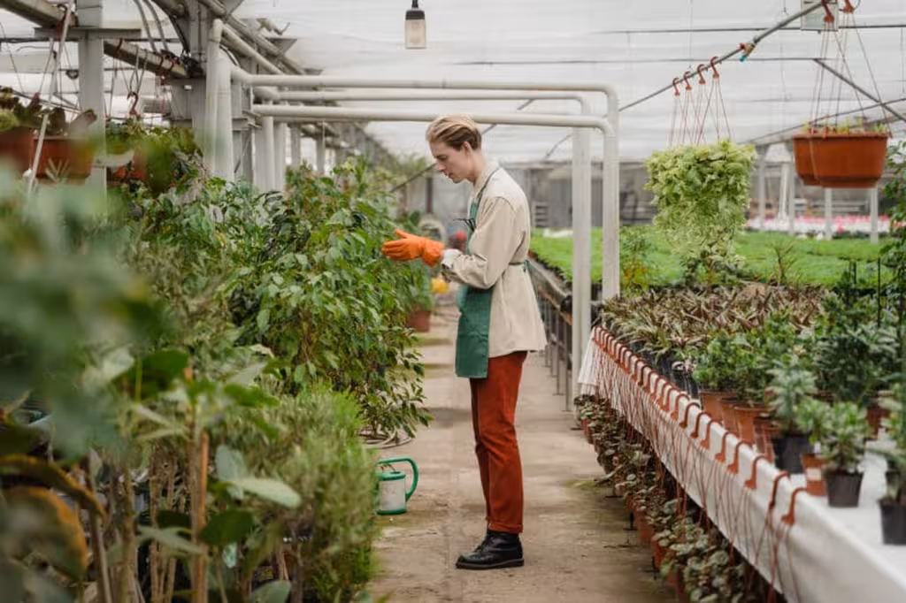 Gants de Jardinage pour Bouturage: Le Guide Ultime