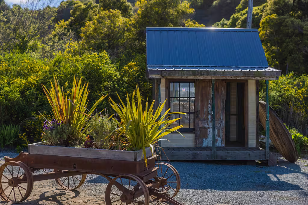 Préparation du Terrain pour le Bouturage