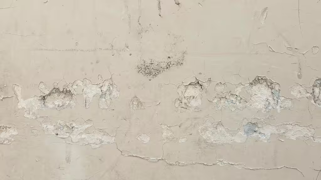 Expériences Réussies : Témoignages et Conseils d'Experts