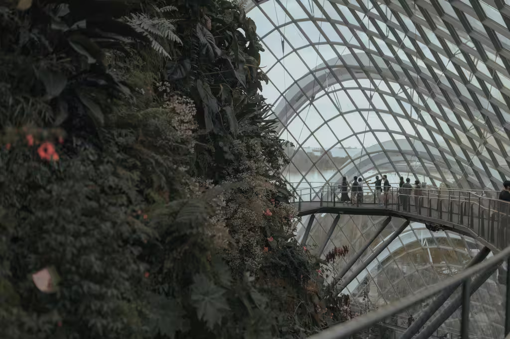 Erreurs courantes à éviter lors de la construction et de l'utilisation de votre mini-serre