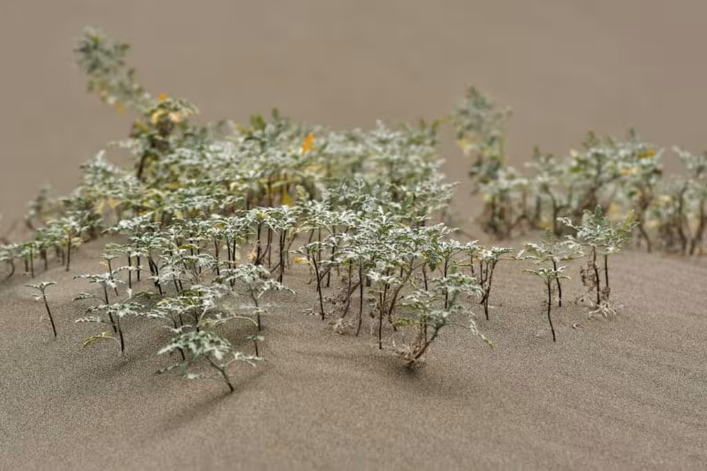 Réduire le stress des plantes : Guide de bouturage efficace