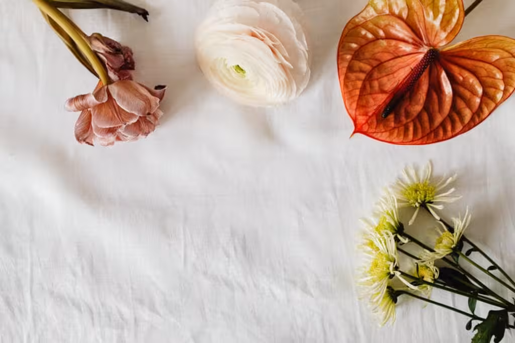 Variétés de Rosiers Idéales pour Bouturage