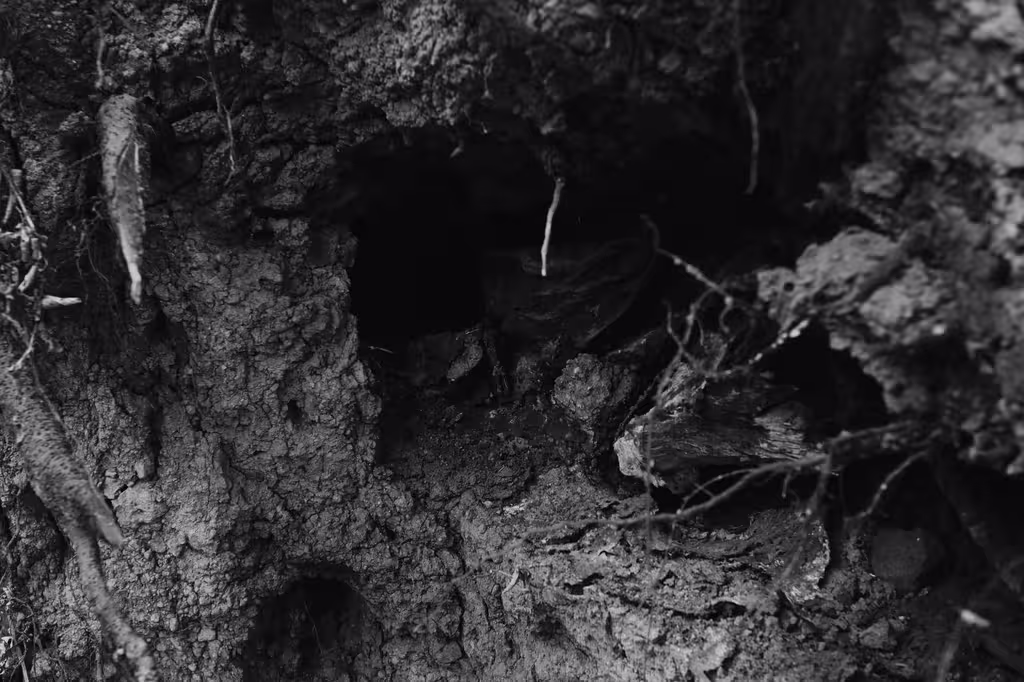 Pourquoi opter pour des stimulants naturels ?