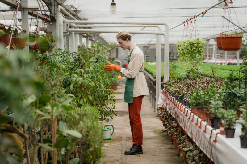 Lire la suite à propos de l’article Gants de Jardinage pour Bouturage: Le Guide Ultime
