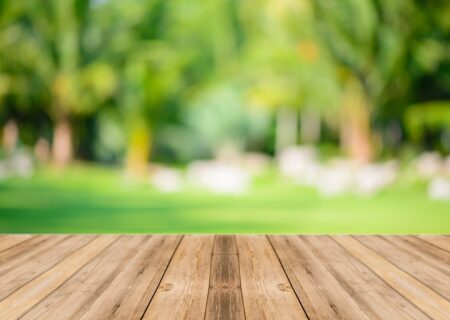 Comment créer un jardin plus accessible ?